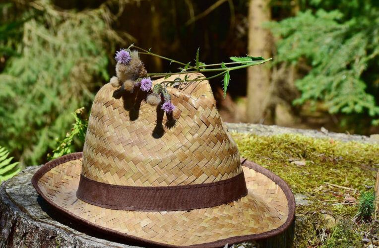 7 Ways to Protect Your Skin Without Sunblock